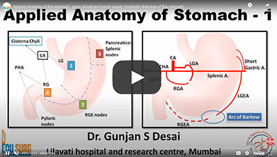 Applied anatomy of the stomach