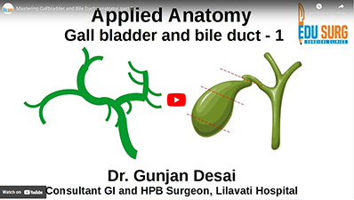 Mastering Gallbladder and Bile Ducts anatomy