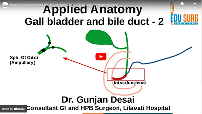 Mastering gall bladder and bile duct anatomy part 2