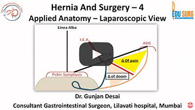 Mastering-Hernia-Surgery - 4