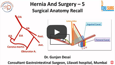 Mastering-Hernia-Surgery-5